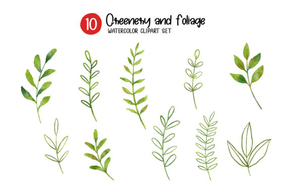 Download Greenery and Foliage Watercolor Set. - Foliage Collection