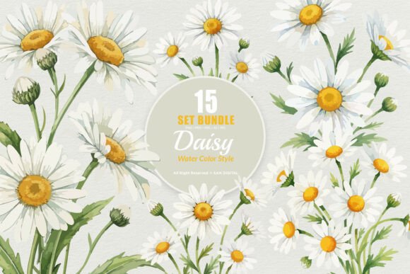 Download 15 Bundle Watercolor Daisy Flower White - Premium Resources
